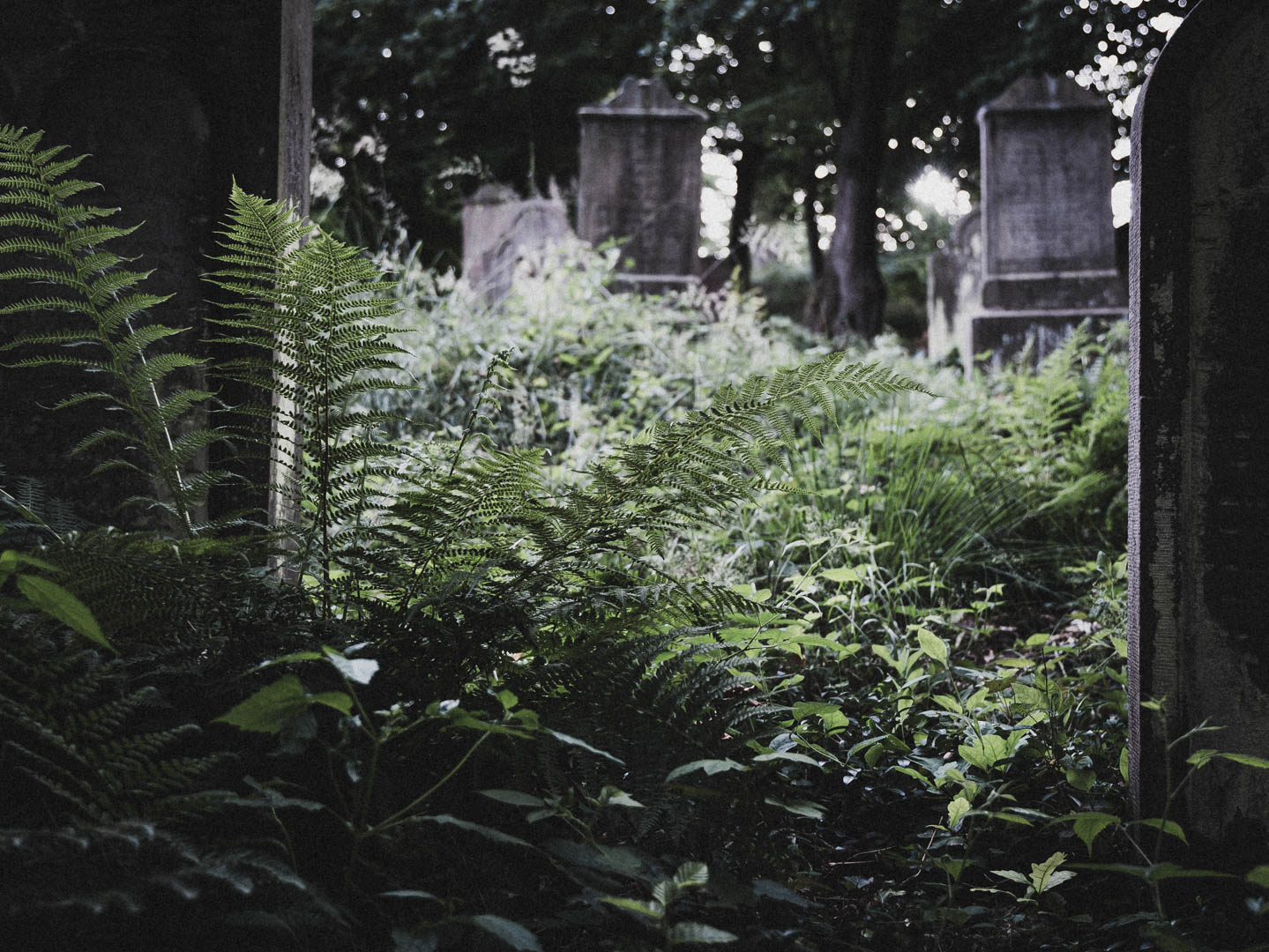 Bodenfeldem Jüdischer Friedhof